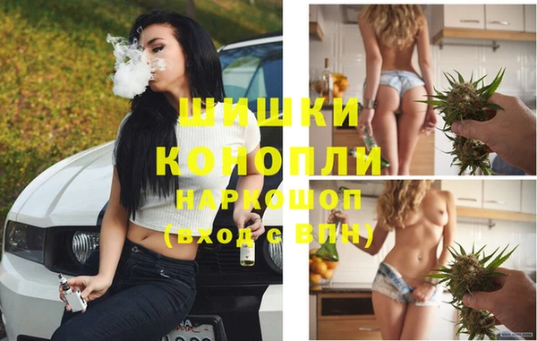 spice Алзамай